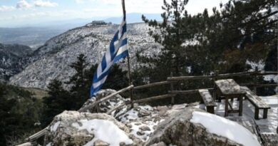 უამინდობა