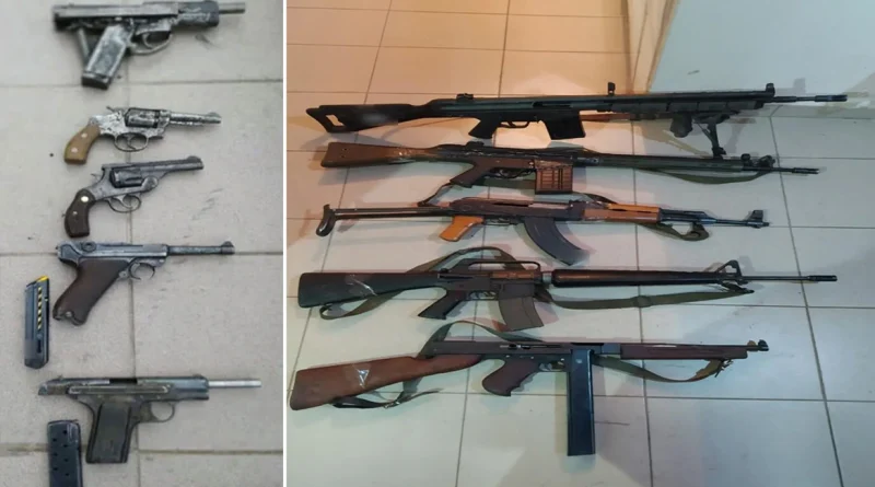 ფლორინა: წყვილს იარაღის არსენალი აღმოუჩინეს