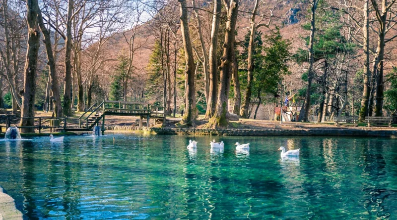 თანამედროვე "მიდას ბაღები" ნაუსაში: მრავალსაუკუნოვანი ჭადრების ტყე, ცაცხვის ხეები და კამკამა წყლები