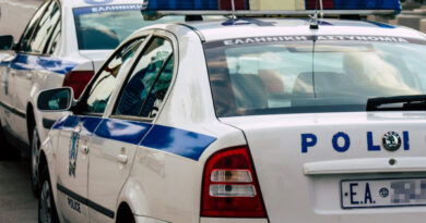 ლარისა: მამაკაცს მანქანიდან 50.000 ევრო მოპარეს