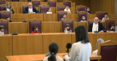 იმიტირებული სასამართლო პროცესი სკოლამდელი ასაკის ბავშვებისთვის