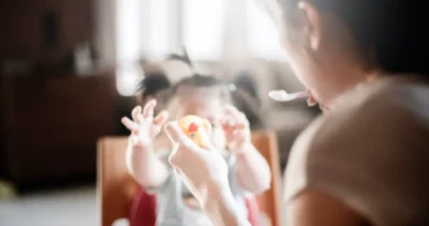 სოციალურ პროგრამაზე ძიძები სამეზობლოდან რეგისტრაცია დღეიდან იწყება