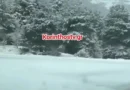 კორინთიას მთიან რეგიონში მოთოვა
