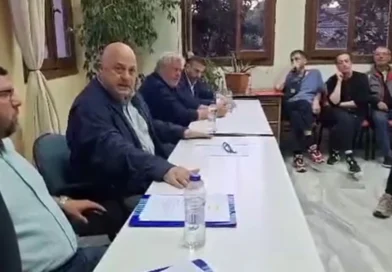 ვოლოსის მერი 3 თვის განმავლობაში უპატრონოდ დარჩენილი ძაღლების ევთანაზიის მომხრეა 