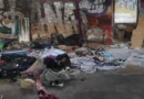 შორტი, რომელმაც შესაძლოა „ეველპიდონის ჩემოდნის“ საქმეში გარდაცვლილი ქალის ვინაობა გამოავლინოს