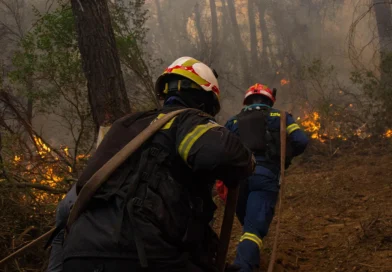 ხანძრის გაჩენის მაღალი რისკი ათენში, ვიოტიასა და ევიაზე