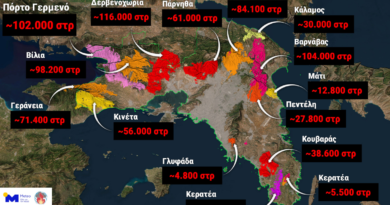 ბოლო 10 წლის განმავლობაში ატიკის ტყეების 42% ხანძარმა გაანადგურა