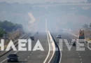 ილია: ტრაღანოში გაჩენილი ხანძრის შედეგად პირღოსისკენ მიმავალი გზა გადაკეტილია
