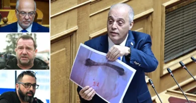 ველოპულოსმა ტების ტრაგედიაში დაღუპული მგზავრების ფოტოსურათები გამოაქვეყნა